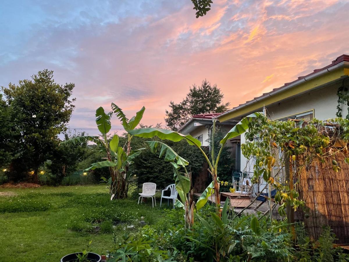 Guesthouse Papaya Šimoda Exteriér fotografie