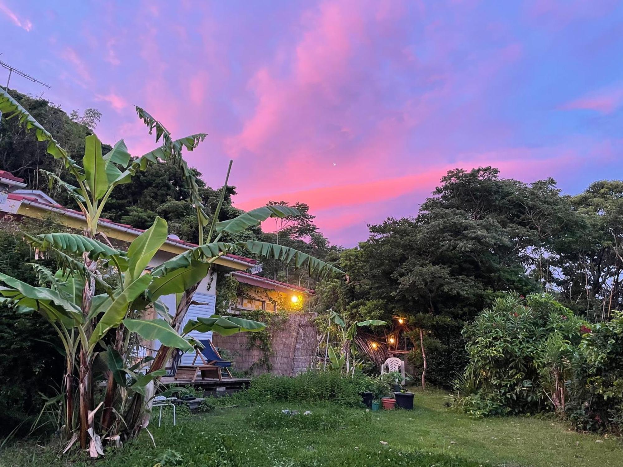 Guesthouse Papaya Šimoda Exteriér fotografie